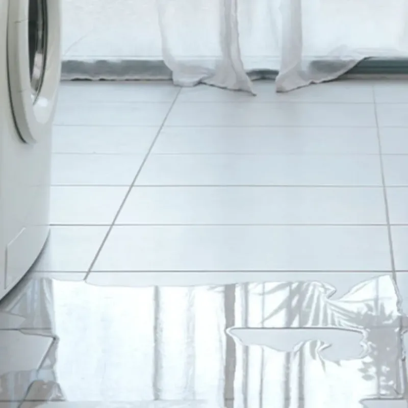 Appliance Leak Cleanup in Cass County, MI