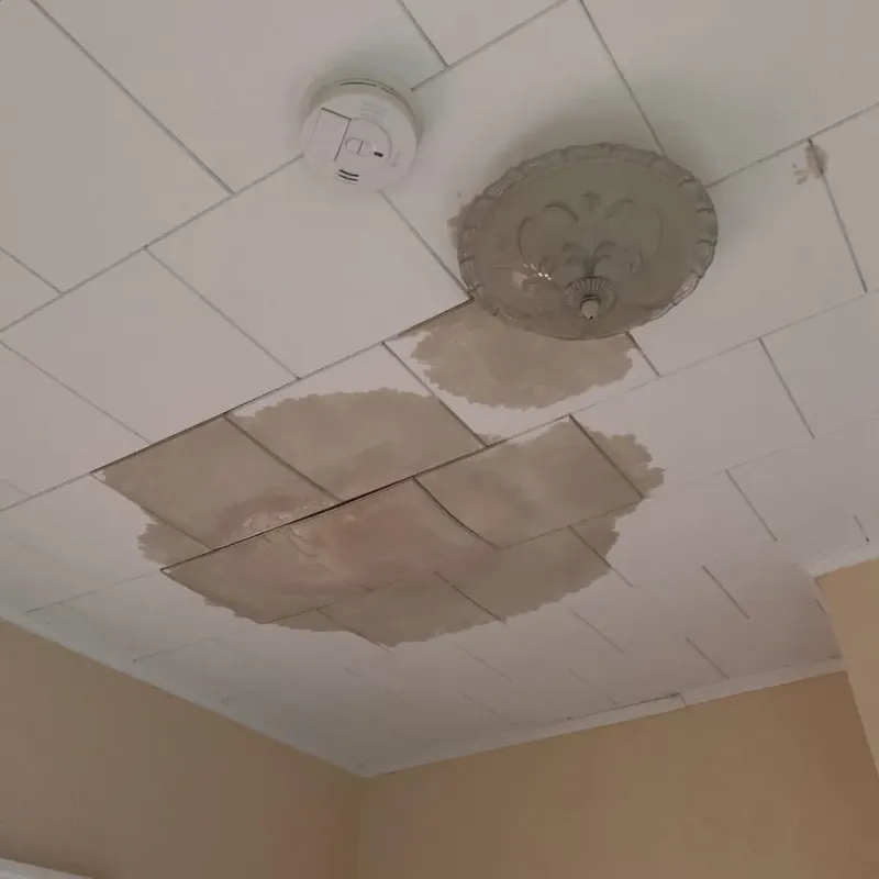 Ceiling Water Damage Repair in Cass County, MI
