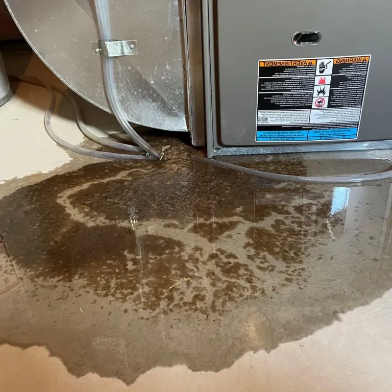 Pipe Burst and Leak Restoration in Cass County, MI