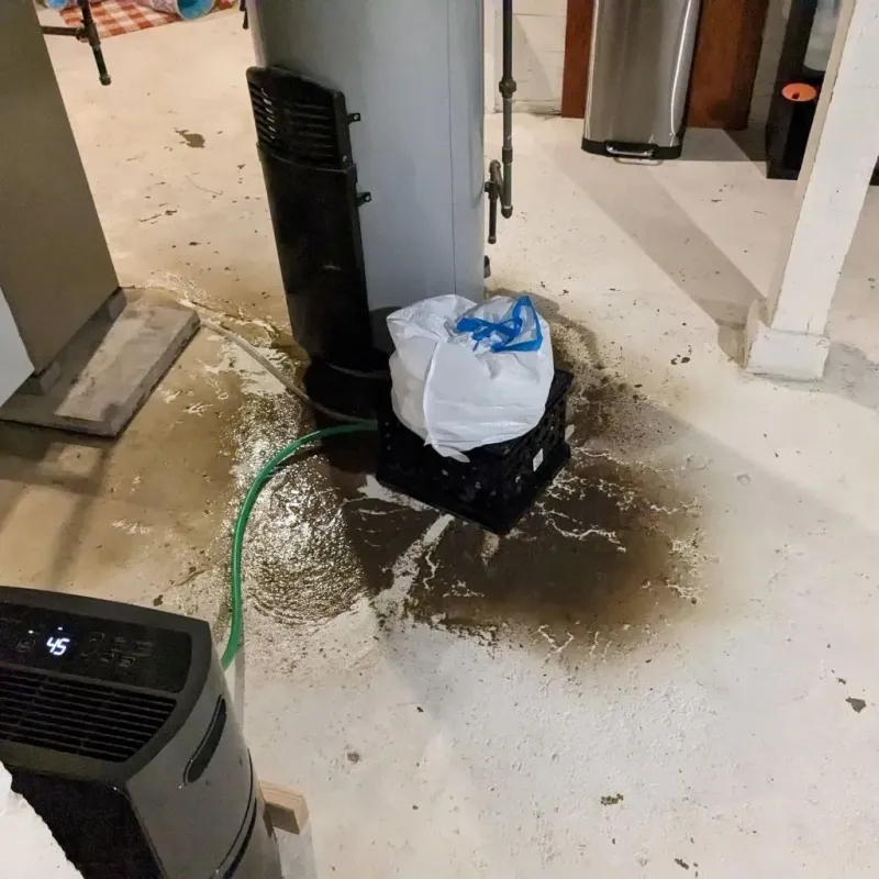Sewage Backup Cleanup Service in Cass County, MI